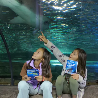 SEA LIFE Sydney Aquarium Myths And Legends Shark Valley Tunnel