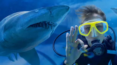 Shark Dive Xtreme