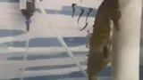 Dad Giving Birth
