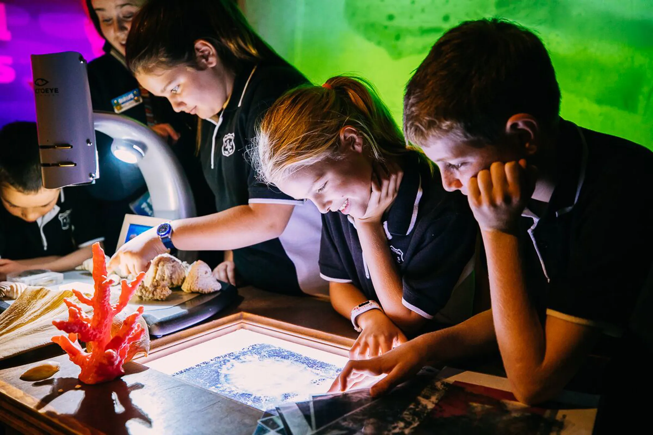 Planning Your School Excursion SEA LIFE Sydney Aquarium