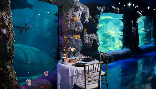 2019 Private Dining Reef At Night