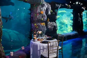 2019 Private Dining Reef At Night
