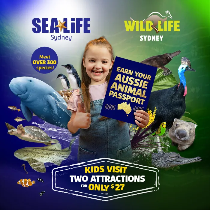 SLS WLS AAP Whatsonblock 700X700