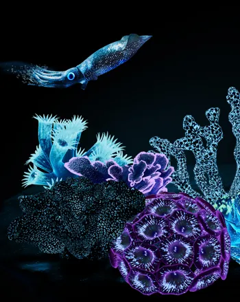 Get a picture perfect shot for Instagram at the the sparkly interactive bioluminescent beach