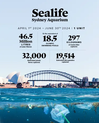 Sealife Impact Data Apr24 Jun24png