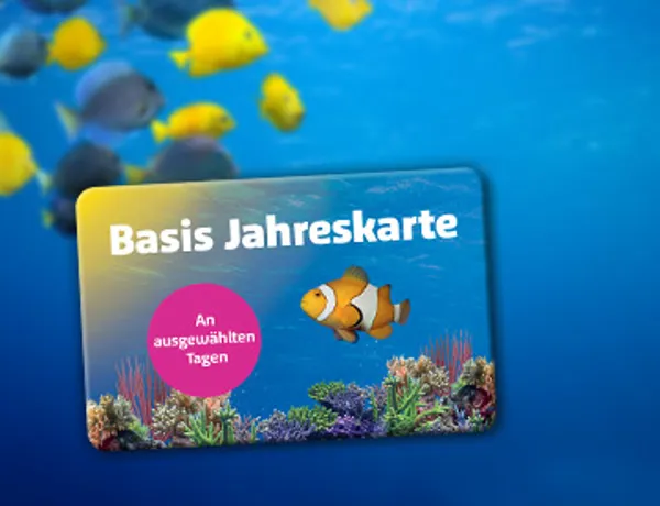 SL Basis Jahreskarte 360X276