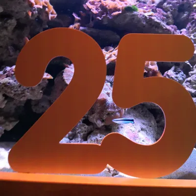 Orangene 25