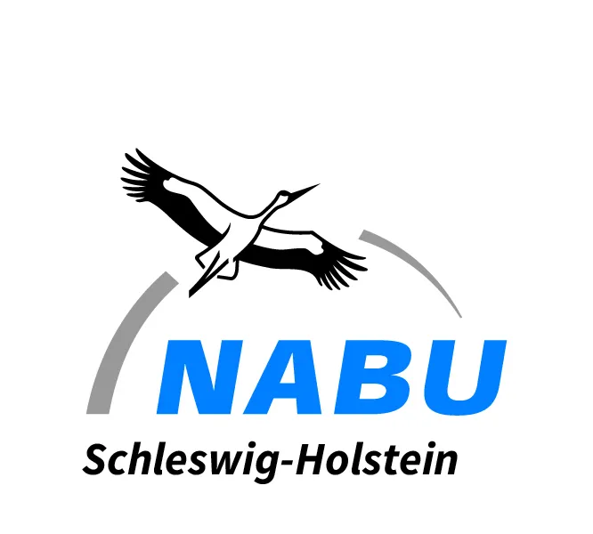 Nabu Logo