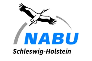 Nabu Logo