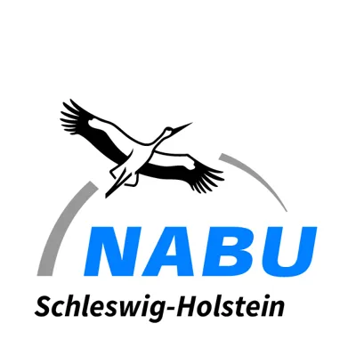 Nabu Logo