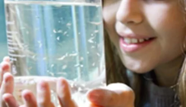 Das SEA LIFE bietet verschiedene Touren, zum Beispiel zum Thema Wasser für Kinder an