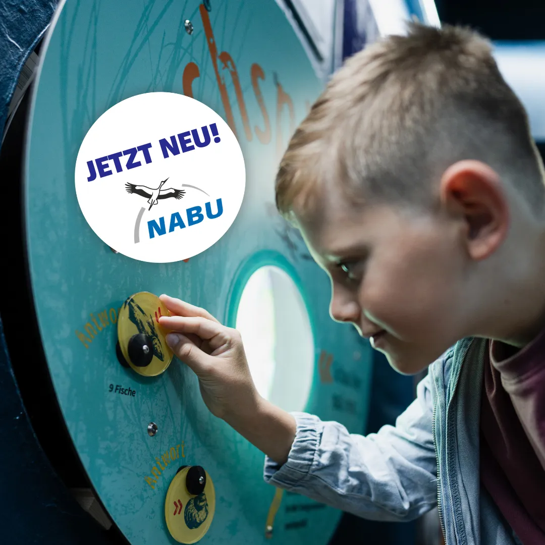 JETZT NEU! 1080X1080 Junge Webseite