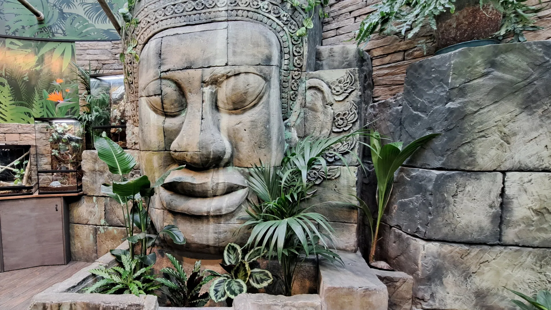 Abenteuer Regenwald | SEA LIFE Timmendorfer Strand