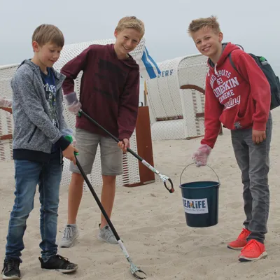 Beachcleaning