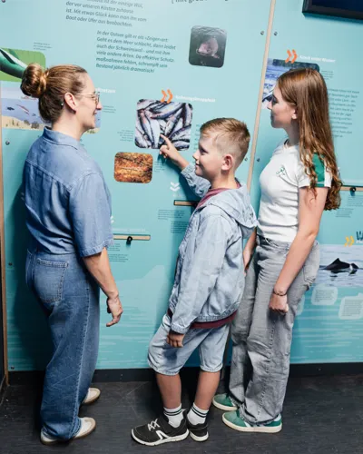 Entdeckungstour an der Ostsee