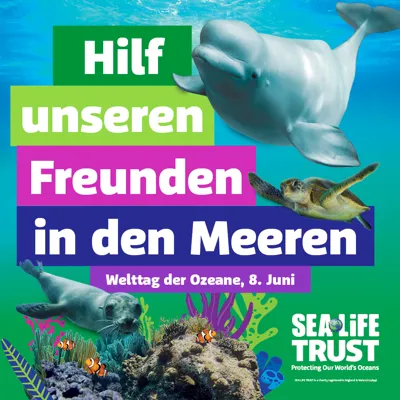 Event Square 1000X1000 German