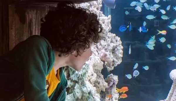 For children SEA LIFE is a fascinating place where they learn a lot