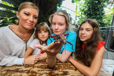 Abenteuer Regenwald | SEA LIFE Timmendorfer Strand