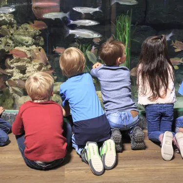 Kindergarten Highlight Für Die Kleinen Min
