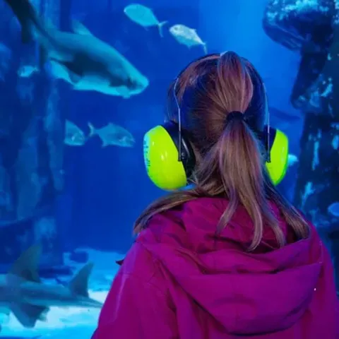 Web Autismustag 671 X 671 Px 2