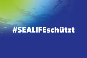Logo 7X5cm Sealife Schuetzt