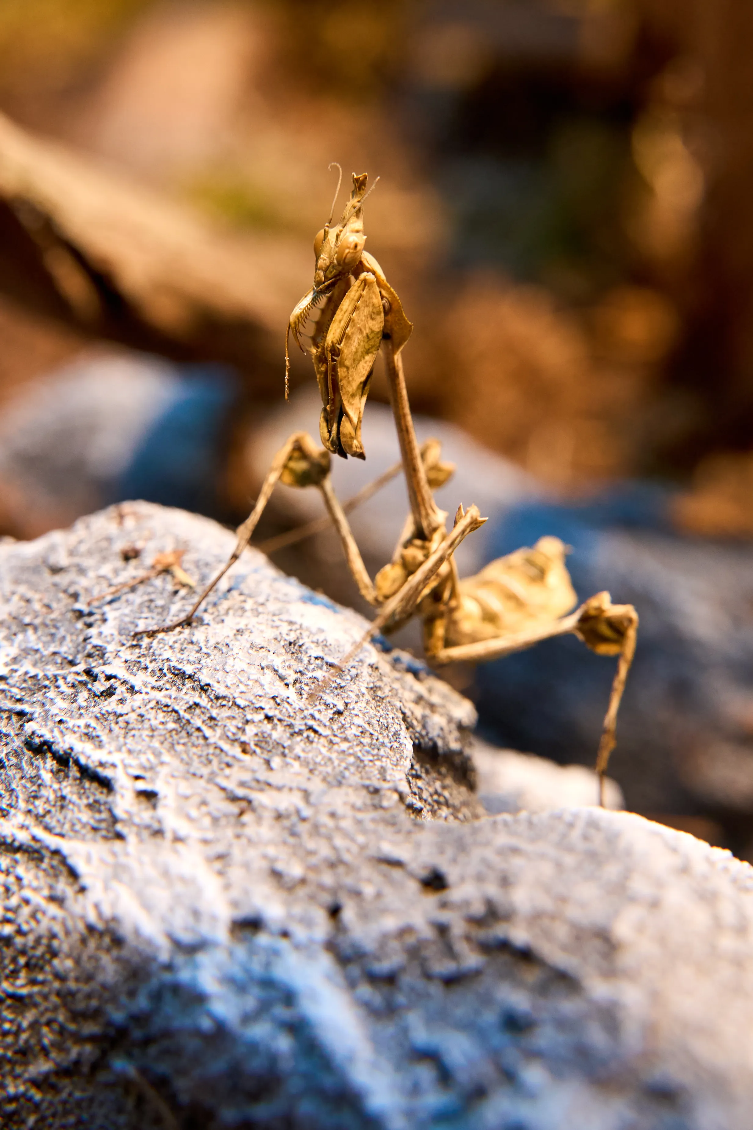 Abenteuer Regenwald | SEA LIFE Timmendorfer Strand