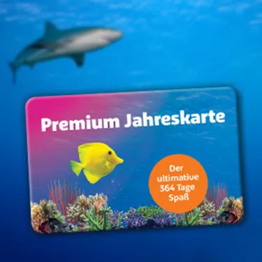 SL Premium Jahreskarte 360X276
