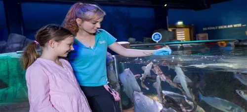 Sea Life Oberhausen Fuetterung Haie