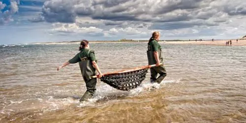 Das Motto des SEA LIFE Trusts lautet Erhalten, Retten, Beschützen