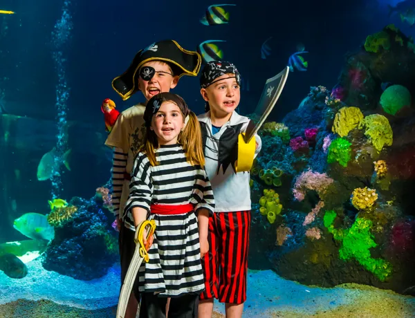 SEA LIFE Piratenkinder 1