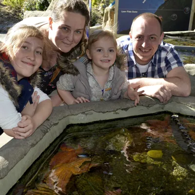 Guests at the Rockpools at SEA LIFE Weymouth