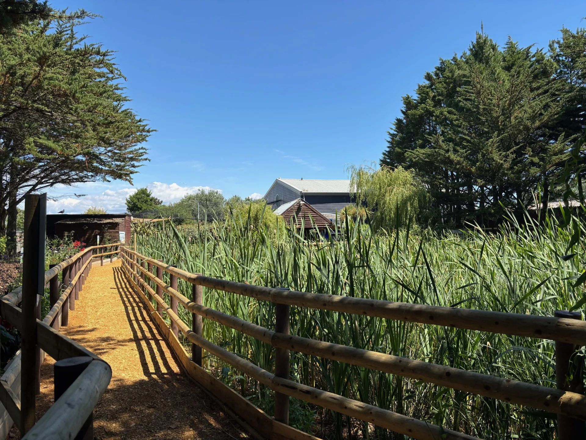 SEA LIFE Weymouth Wetland trail