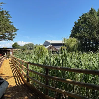 SEA LIFE Weymouth Wetland trail
