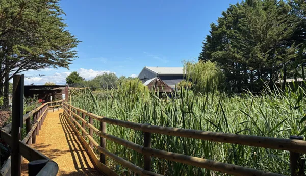 SEA LIFE Weymouth Wetland trail