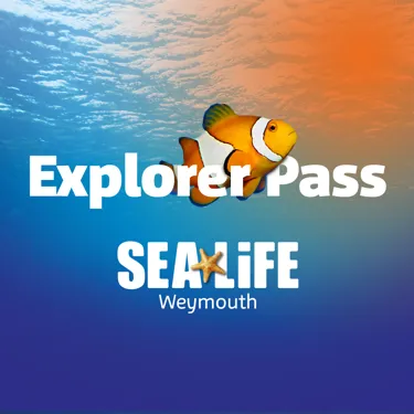 Explorer Pass SQUARE