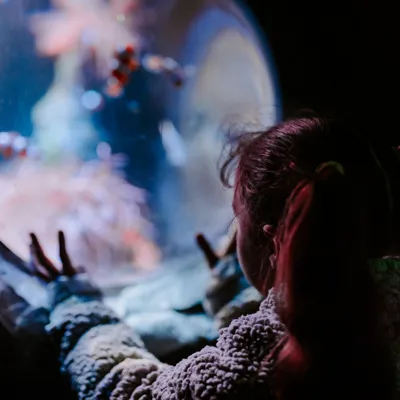 SEA LIFE Weymouth