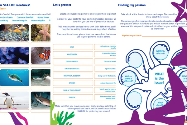 Planning A School Trip SEA LIFE Centre Weymouth planning-a-school-trip-sea-life-centre-weymouth
