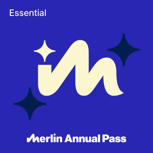 Essential Square