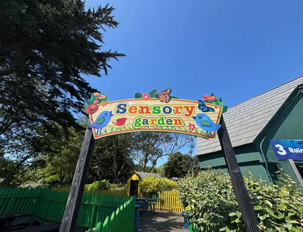 Sensory Garden 2