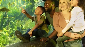 Family At The Aquarium