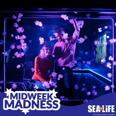 SLLA Midweek Madness 1.1