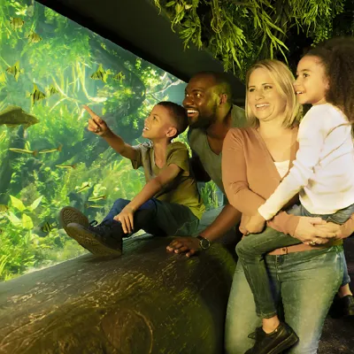 What's Inside SEA LIFE