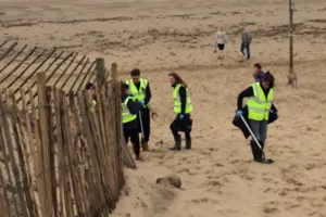 Beach clean