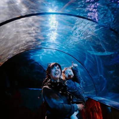 In The Ocean Tunnel