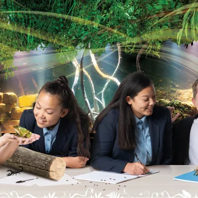 Sea Life Schools Home Secondary