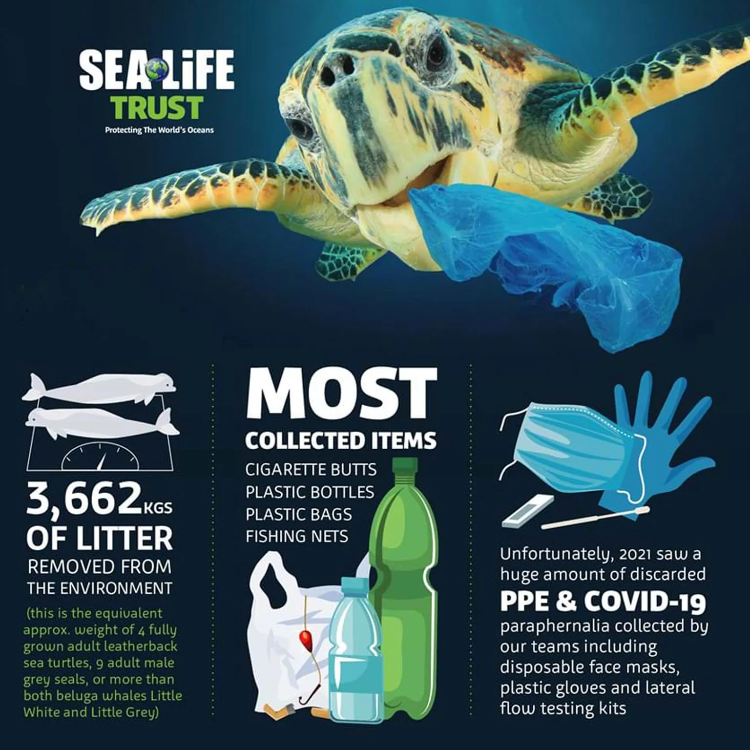 World Ocean Day 2021 Results