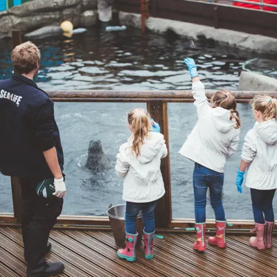 Breakfast with the seals experience at SEA LIFE Weymouth