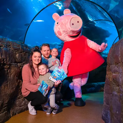 Peppa Pig 2