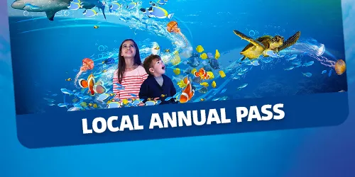 Local Annual Pass