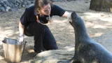 Weymouth Seal